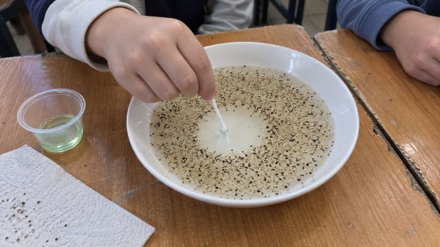 images11